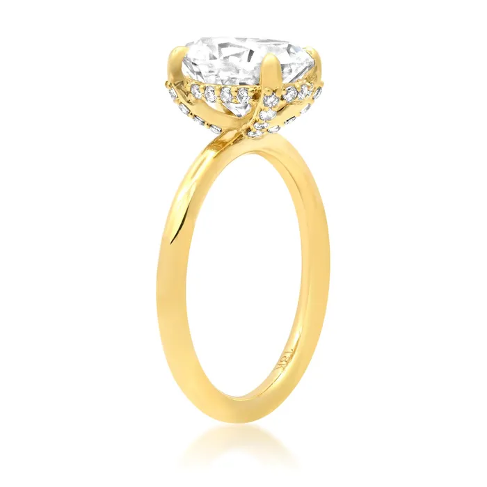 deBebians Rings Solitaire Under Halo Engagement Ring with Pave Diamonds deBebians Rings Solitaire Under Halo Engagement Ring with Pave Diamonds
