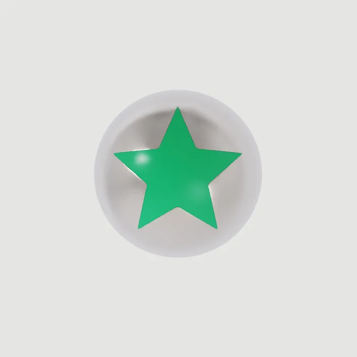 Naimah Earrings Starstruck Earring