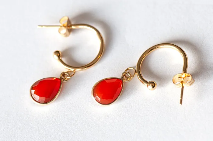 Fierce Lynx Designs Carnelian Bezel Hoop Earrings in Gold Earrings