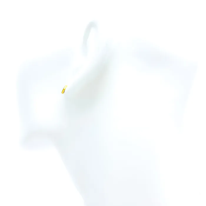 Andaaz Jewelers Earrings High Finish Square 21k Gold Earrings