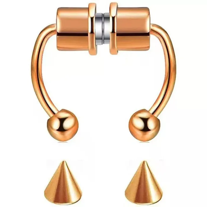 Belle Kim Rings Magnetic Faux Septum Ring