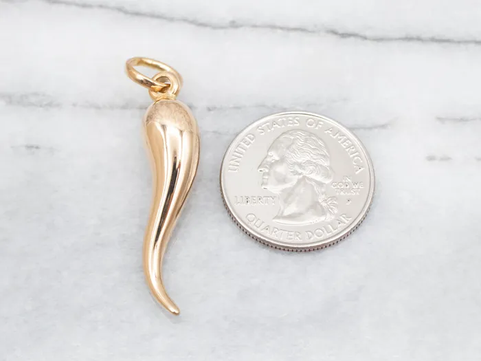 PreStyled Sets Market Square Jewelers Yellow 18Karat Gold Italian Horn Pendant PreStyled Sets Market Square Jewelers Yellow 18Karat Gold Italian Horn Pendant