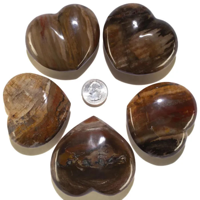 Necklaces KALIFANO Petrified Wood Gemstone Heart Carving 170g 3in